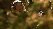 hiddenpalms108_3128.jpg