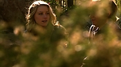 hiddenpalms108_3130.jpg