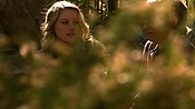 hiddenpalms108_3132.jpg