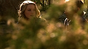 hiddenpalms108_3136.jpg