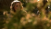hiddenpalms108_3139.jpg