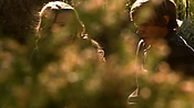 hiddenpalms108_3161.jpg