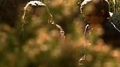 hiddenpalms108_3162.jpg