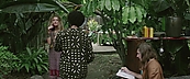 idountilidont05025.jpg