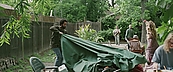 idountilidont05050.jpg