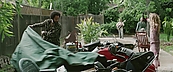 idountilidont05063.jpg