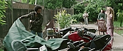 idountilidont05065.jpg