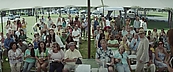idountilidont14795.jpg