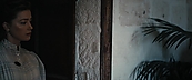 inthefire10938.jpg