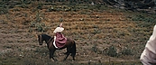 Filename=inthefire11705.jpg
Filesize=459KiB
Dimensions=1920x800
Date added=Oct 14, 2023 inthefire11705.jpg