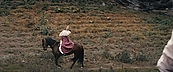 Filename=inthefire11706.jpg
Filesize=470KiB
Dimensions=1920x800
Date added=Oct 14, 2023 inthefire11706.jpg