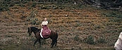 Filename=inthefire11711.jpg
Filesize=532KiB
Dimensions=1920x800
Date added=Oct 14, 2023 inthefire11711.jpg