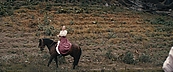 Filename=inthefire11712.jpg
Filesize=535KiB
Dimensions=1920x800
Date added=Oct 14, 2023 inthefire11712.jpg