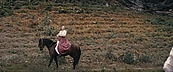 Filename=inthefire11713.jpg
Filesize=530KiB
Dimensions=1920x800
Date added=Oct 14, 2023 inthefire11713.jpg
