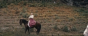 Filename=inthefire11714.jpg
Filesize=535KiB
Dimensions=1920x800
Date added=Oct 14, 2023 inthefire11714.jpg