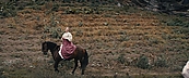 Filename=inthefire11717.jpg
Filesize=480KiB
Dimensions=1920x800
Date added=Oct 14, 2023 inthefire11717.jpg