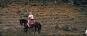 Filename=inthefire11719.jpg
Filesize=474KiB
Dimensions=1920x800
Date added=Oct 14, 2023 inthefire11719.jpg