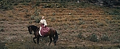 Filename=inthefire11721.jpg
Filesize=481KiB
Dimensions=1920x800
Date added=Oct 14, 2023 inthefire11721.jpg