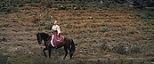 Filename=inthefire11722.jpg
Filesize=468KiB
Dimensions=1920x800
Date added=Oct 14, 2023 inthefire11722.jpg
