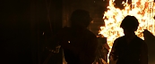 inthefire26933.jpg