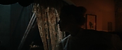inthefire39830.jpg