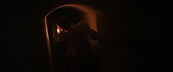 inthefire46681.jpg