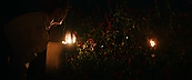 inthefire46891.jpg