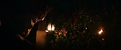 inthefire46901.jpg
