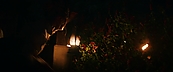 inthefire46902.jpg