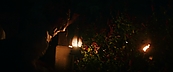 inthefire46903.jpg
