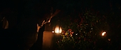 inthefire46906.jpg