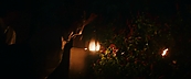 inthefire46907.jpg