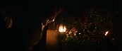 inthefire46908.jpg
