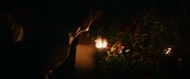 inthefire46909.jpg