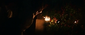 inthefire46910.jpg