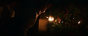 inthefire46911.jpg