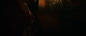 inthefire46974.jpg