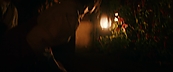 inthefire46987.jpg