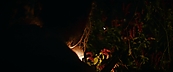 inthefire47070.jpg