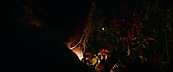 inthefire47071.jpg