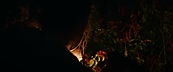 inthefire47073.jpg