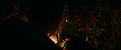 inthefire47075.jpg