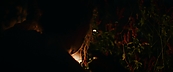 inthefire47076.jpg