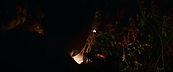 inthefire47078.jpg