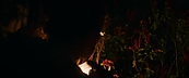 inthefire47082.jpg