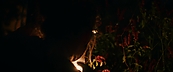 inthefire47084.jpg