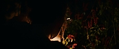 inthefire47087.jpg