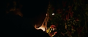 inthefire47089.jpg