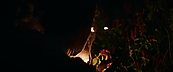 inthefire47090.jpg