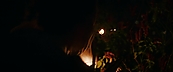 inthefire47093.jpg